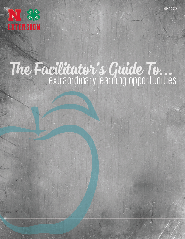 The Facilitator’s Guide To Extraordinary Learning Opportunities