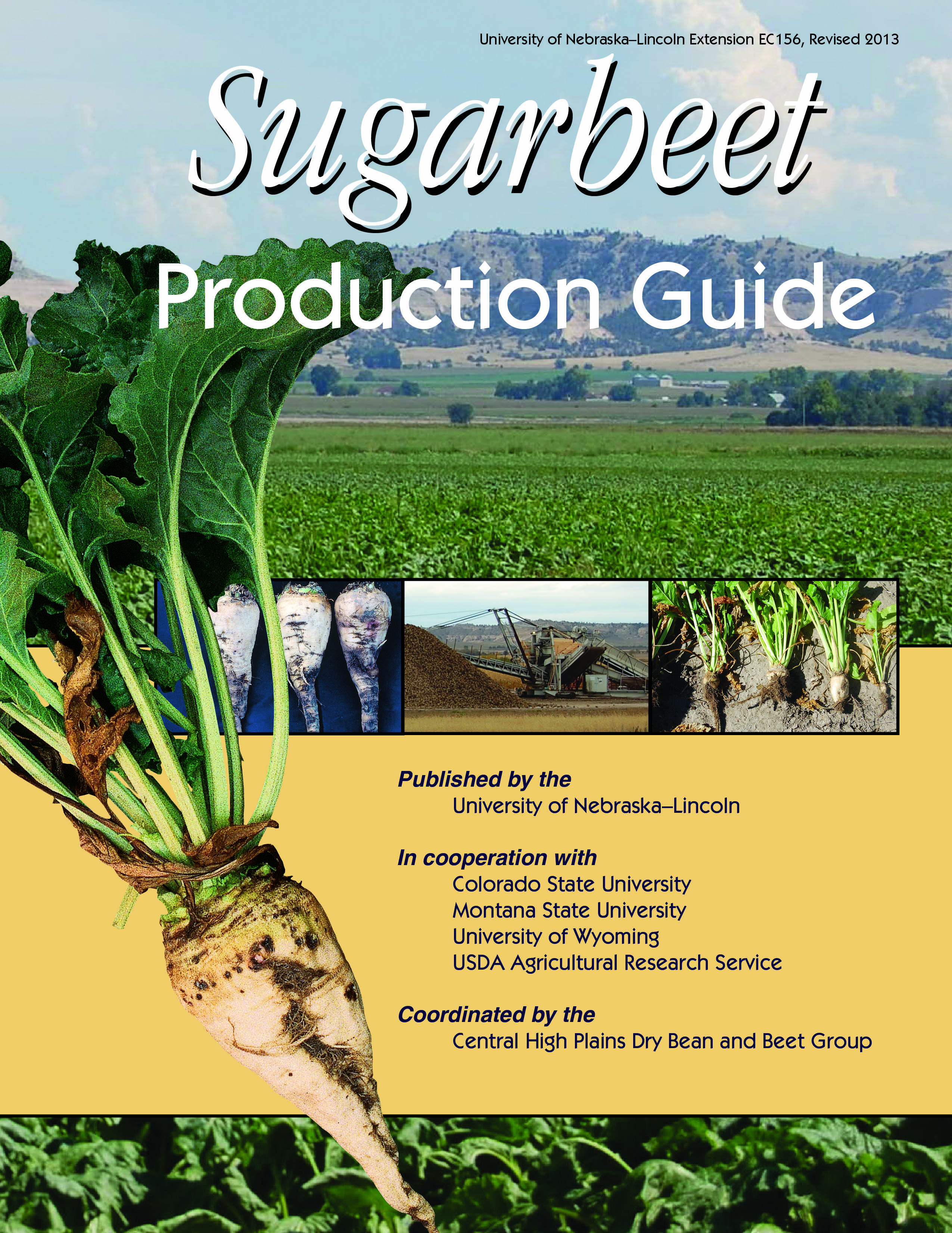 Sugarbeet Production Guide