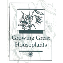 Growing Great Houseplants