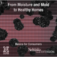 From Moisture and Mold to Healthy Homes - Basics for Consumers