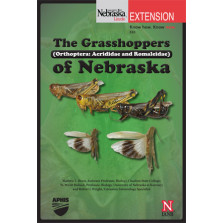 Grasshoppers of Nebraska