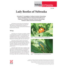 Lady Beetles of Nebraska