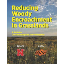    Reducing Woody Encroachment in Grasslands: A Guide for Understanding Risk and Vulnerability