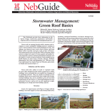 Stormwater Management: Green Roof Basics