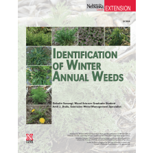 Identification of Winter Annual Weeds