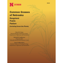 Common Grasses of Nebraska